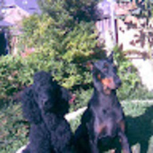 Meet your Posher, Vicki